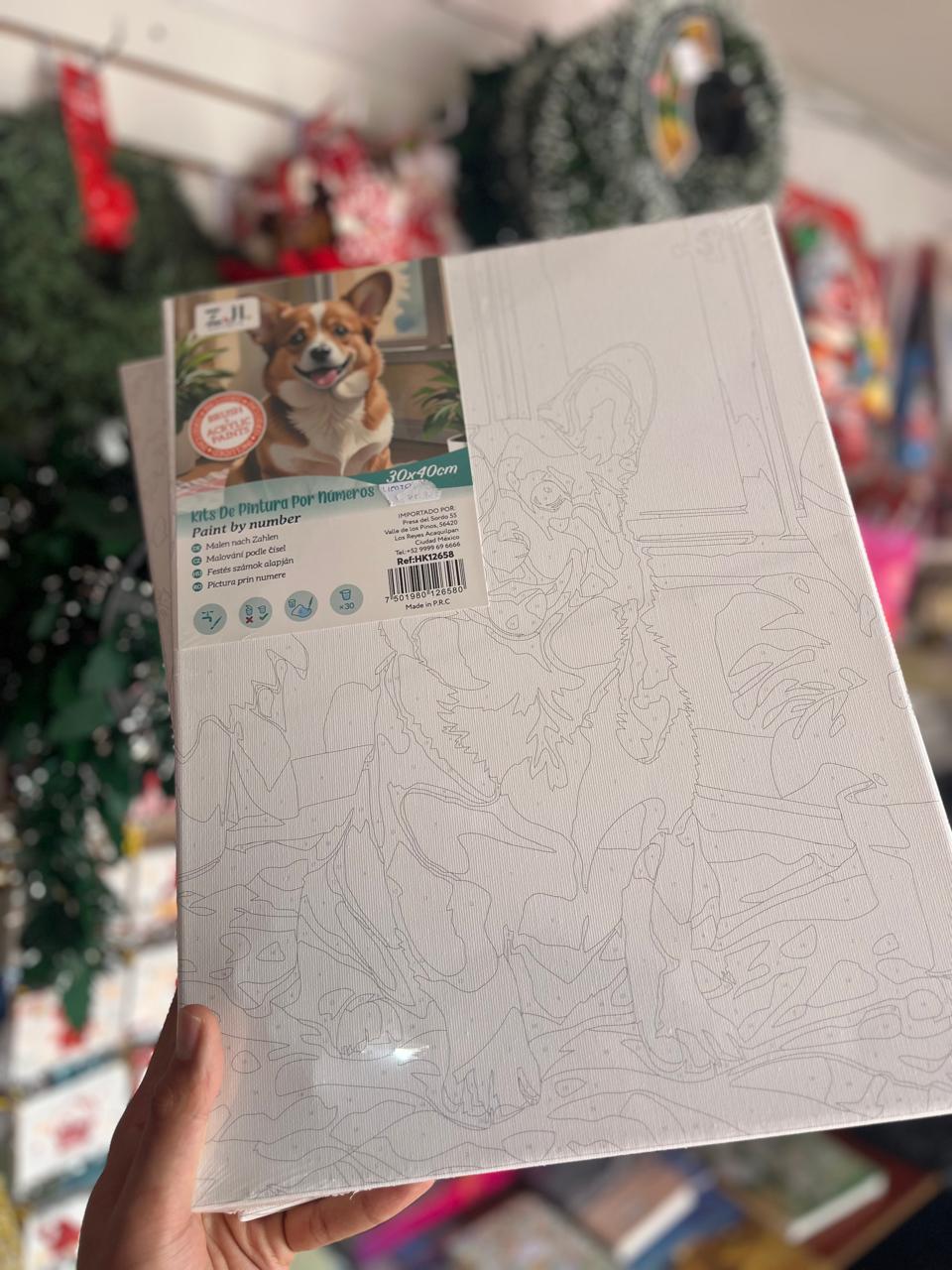 lienzo para pintar por numero sencillo