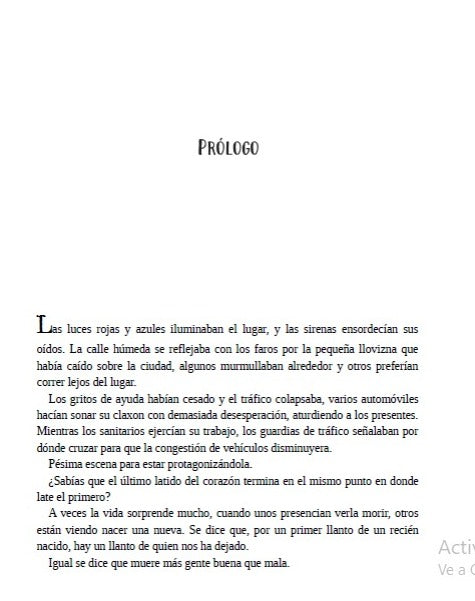Libro ¨Boulevard¨ Flor M. Salvador
