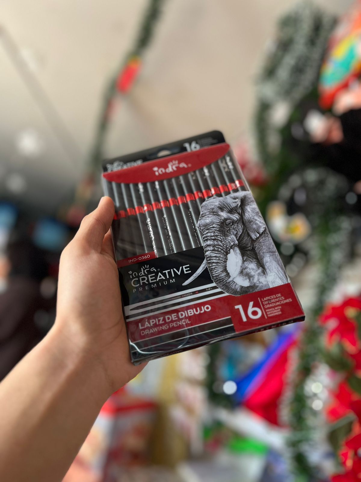 KIT DE LÁPICES DE DIBUJO INDRA